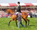 William Fox-Pitt & TAMARILLO